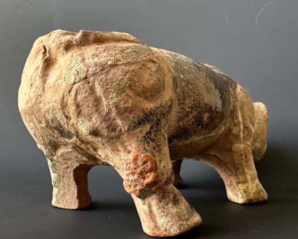 Chinese Han Dynasty Pig - Image 6