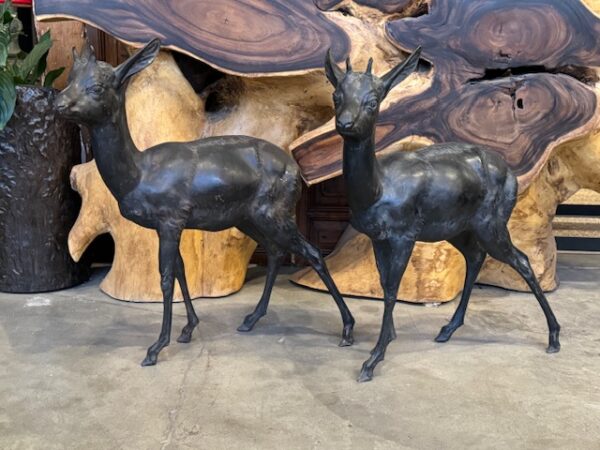 Pair of Antique Bronze Roe Deer