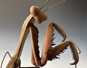 Contemporary Japanese praying mantis.