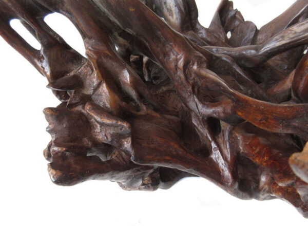 Antique Japanese Root Burlwood Stand - Image 3